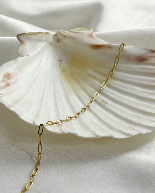 Gold paperclip chain necklace on a white shell